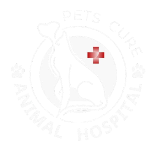 Pets Cure Animal Hospital